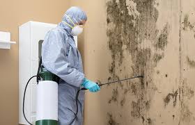 Best Comprehensive Air Testing for Mold Contaminants  in Palos Verdes Estates, CA